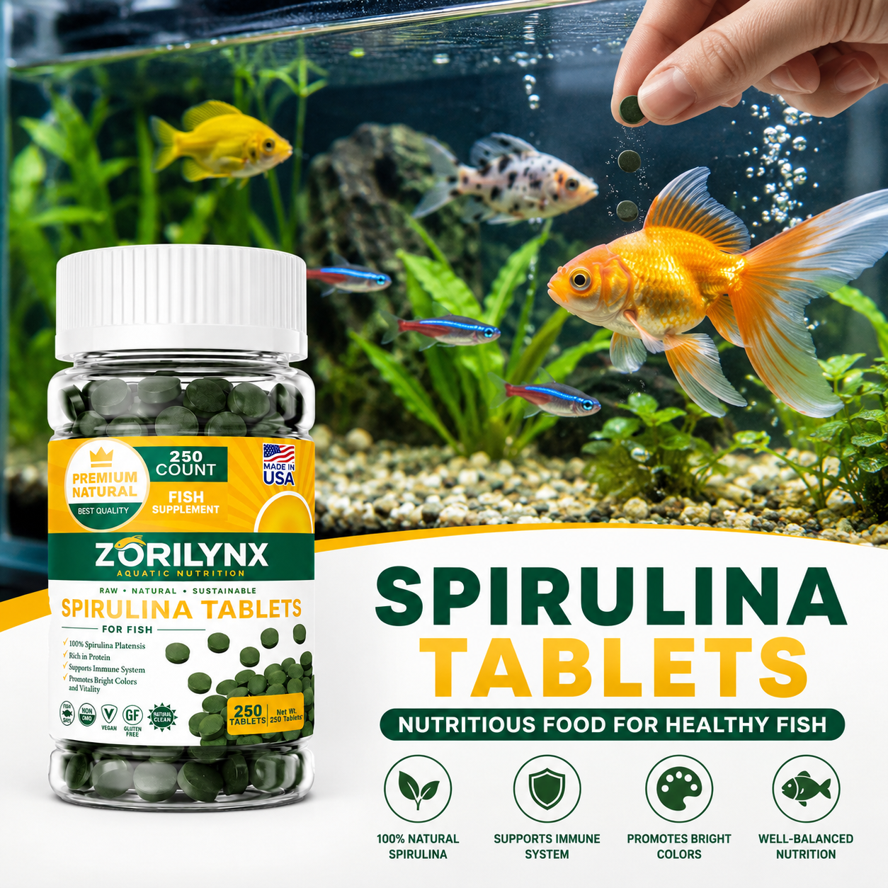 Spirulina Tablet Organic - 1250pcs High Purity Spirulina Tablets Spiral