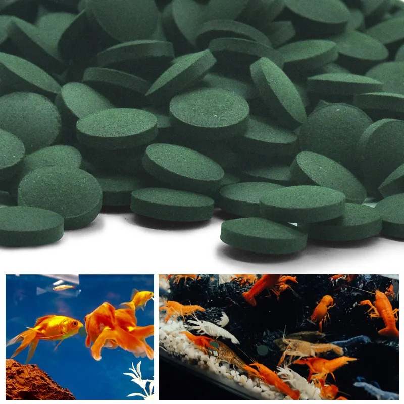 50/250/500Pcs High Purity Spir - Spirulina Tablet Organic avaliação e preço