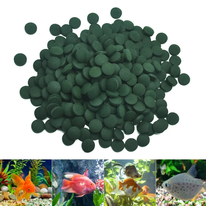 100-3000pc High Purity Spiruli - Spirulina Tablet Organic avaliação e preço