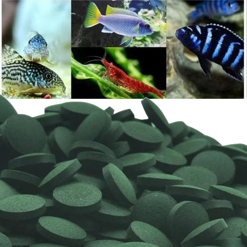 50/100/300/500pcs Spirulina Ta - Spirulina Tablet Organic avaliação e preço