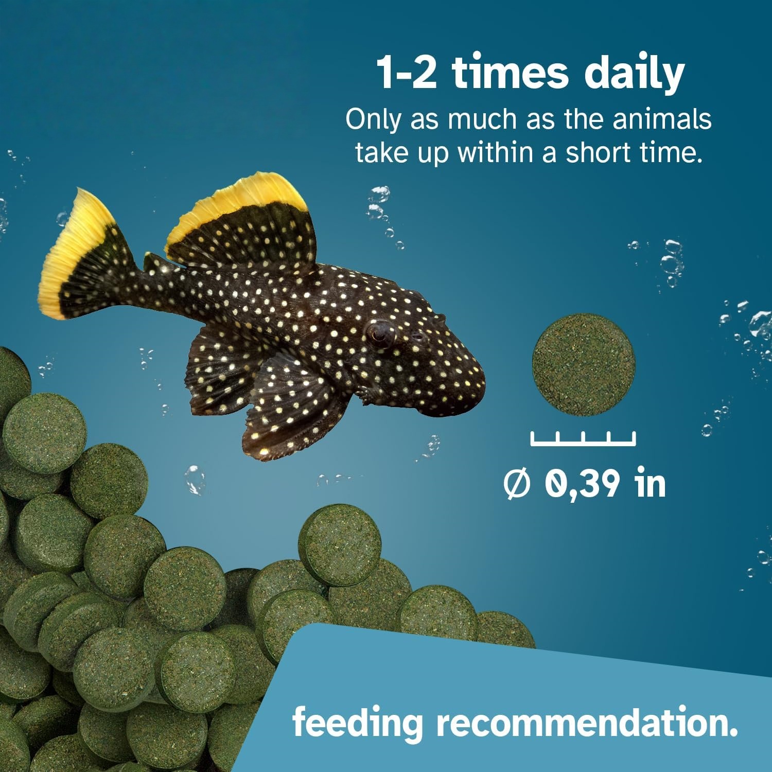 High Purity Spirulina Tablets  - Spirulina Tablet Organic avaliação e preço