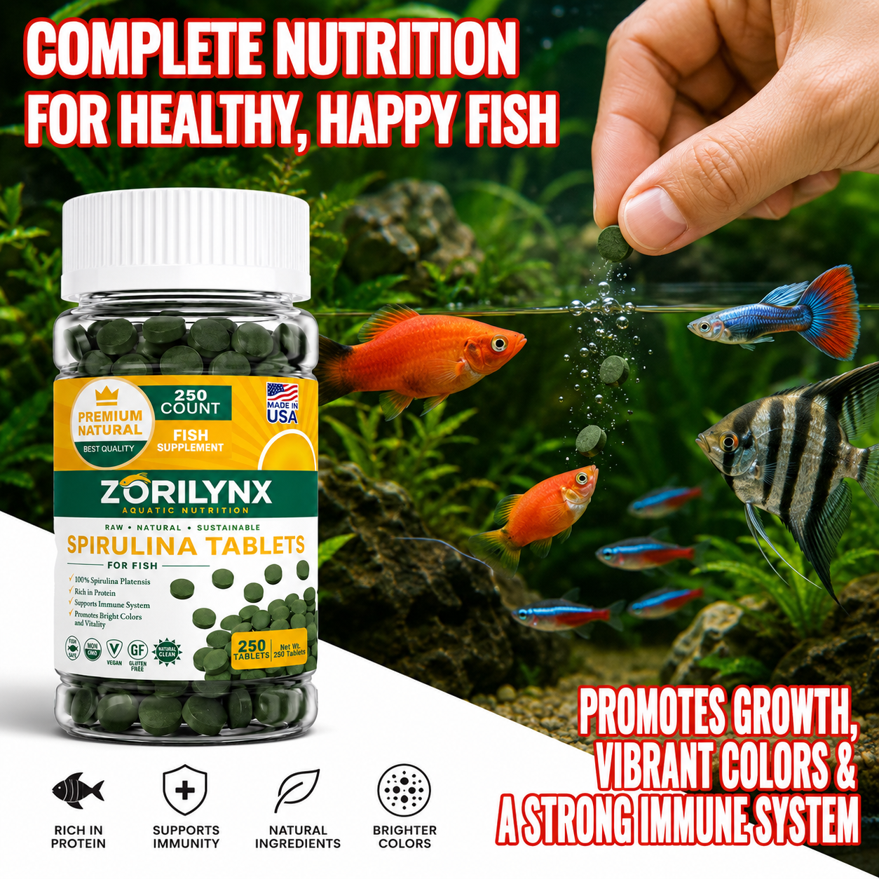 High Purity Spirulina Tablets  - Spirulina Tablet Organic avaliação e preço